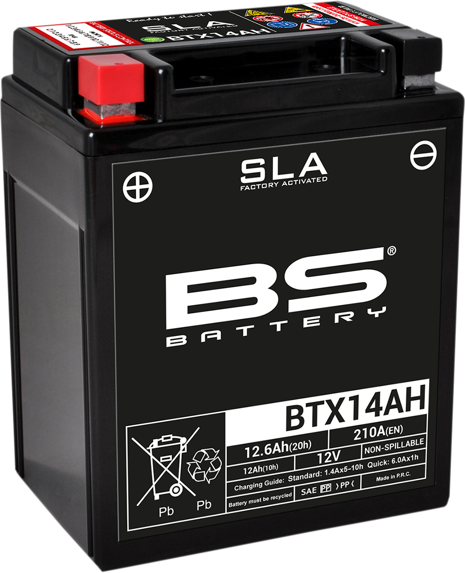 BS BATTERY BTX14AH (YTX) AGM Motorcycle Battery - Model 300758