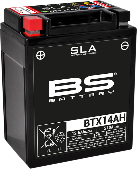 BS BATTERY BTX14AH (YTX) AGM Motorcycle Battery - Model 300758