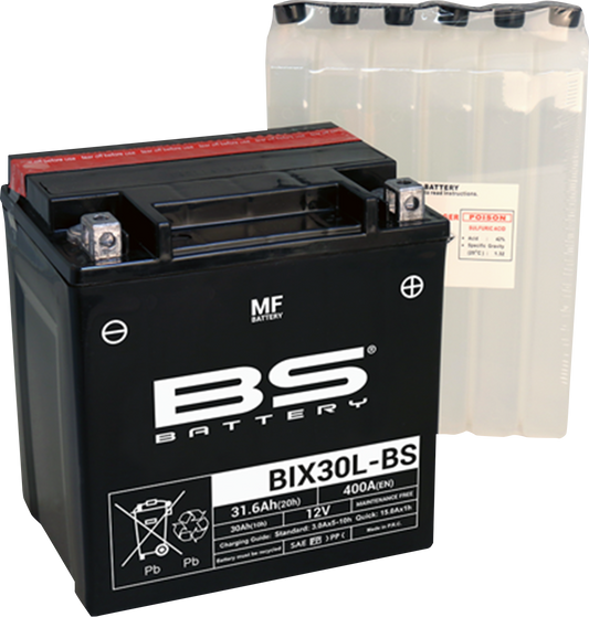 BS BATTERY BIX30L-BS (YIX) 300753 Maintenance-Free Deep Cycle Battery