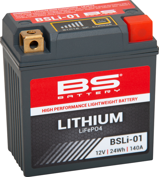 BS BATTERY Lithium Battery BSLi-01 360101 - 12.8V 5Ah Compact Power Solution