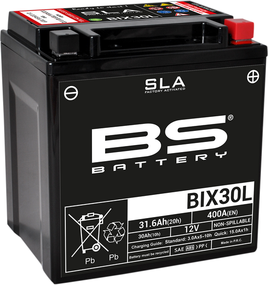 BS BATTERY BIX30L (YIX) 300631 Absorbed Glass Mat (AGM) Deep Cycle Battery