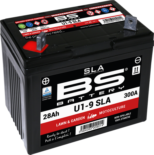 BS BATTERY U1-9 300901 Absorbed Glass Mat (AGM) Maintenance-Free Battery