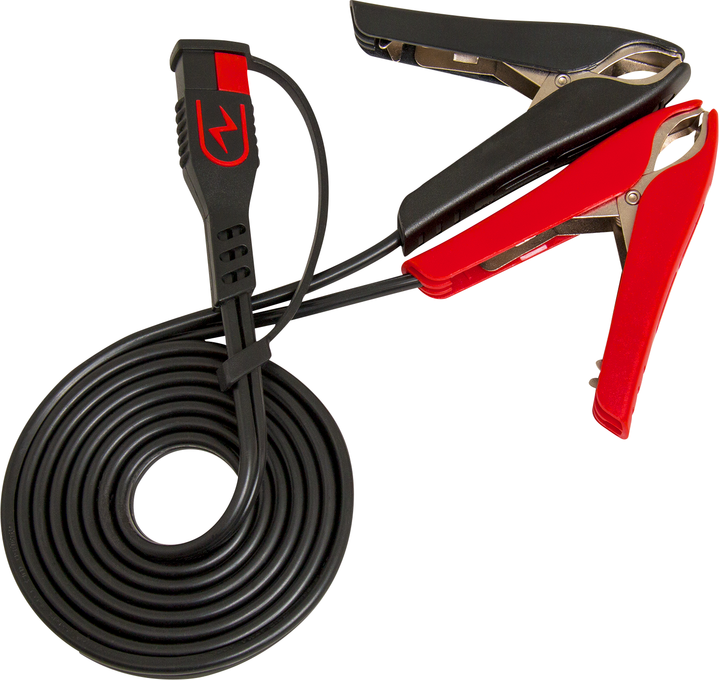 BS Battery BK20 700554 Battery Charger and Maintainer for 6V and 12V Lead Acid and Lithium Batteries