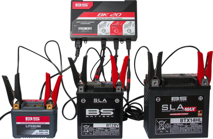BS Battery BK20 700554 Battery Charger and Maintainer for 6V and 12V Lead Acid and Lithium Batteries