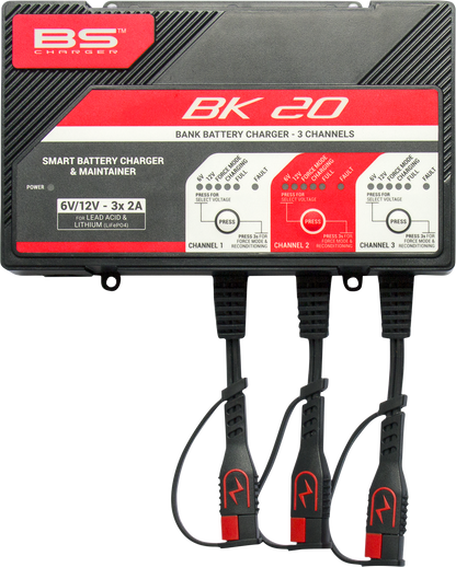 BS Battery BK20 700554 Battery Charger and Maintainer for 6V and 12V Lead Acid and Lithium Batteries