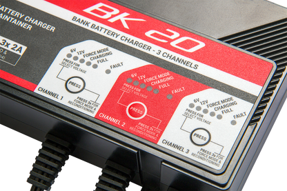 BS Battery BK20 700554 Battery Charger and Maintainer for 6V and 12V Lead Acid and Lithium Batteries