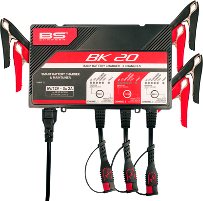 BS Battery BK20 700554 Battery Charger and Maintainer for 6V and 12V Lead Acid and Lithium Batteries