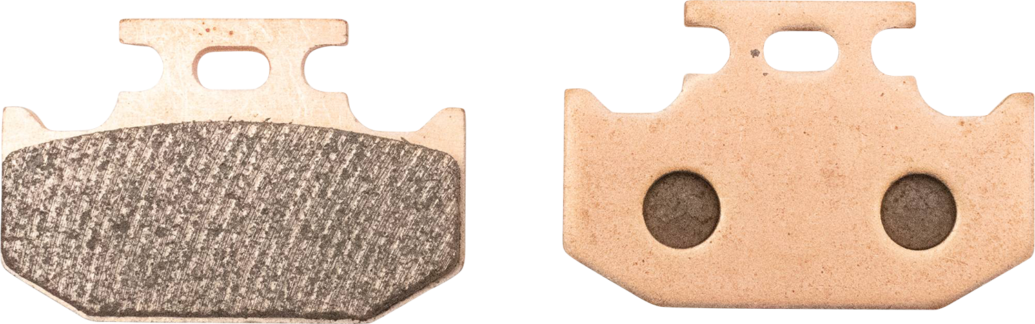 ALL BALLS Sintered Brake Pads - Parking Brake 18-8055