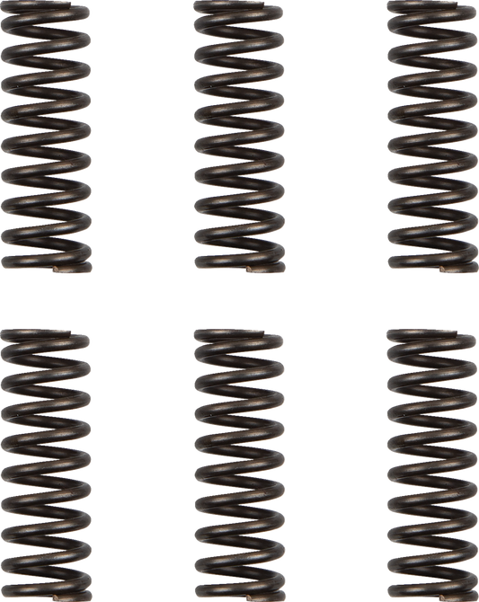 Moose Offroad Clutch Springs for Yamaha WR/YZ 450F (Part HDS-156-6)