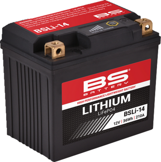 BS BATTERY Lithium Battery BSLi-14 360114 - 12.8V 5Ah Plug-and-Play Power Solution