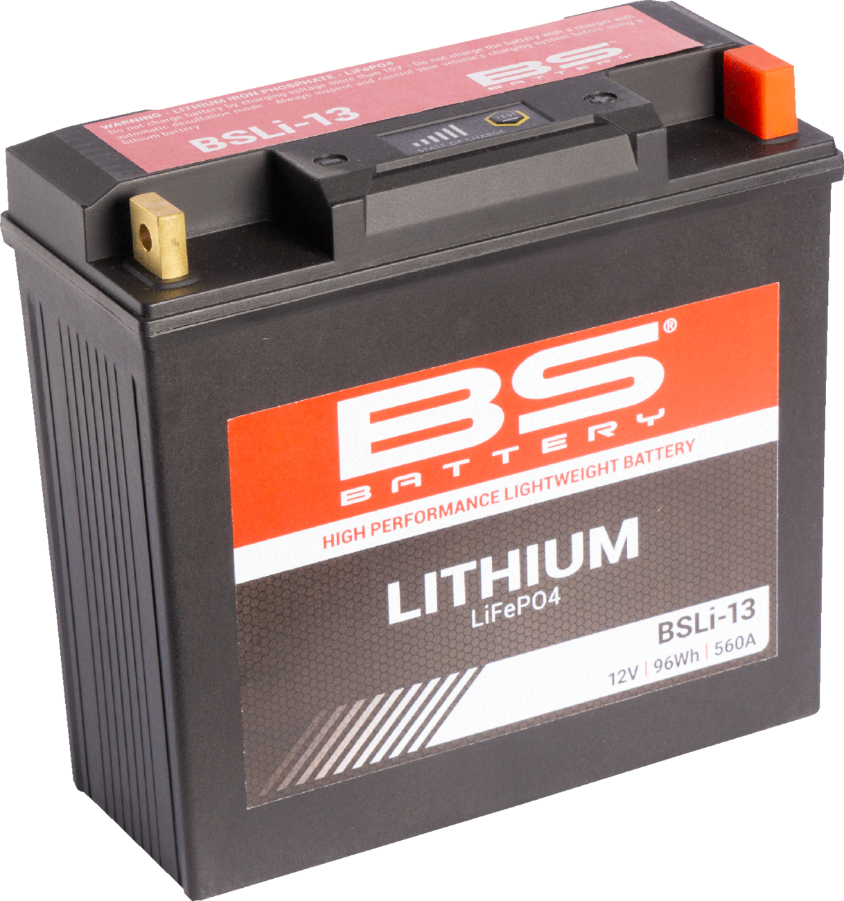 BS BATTERY Lithium Battery BSLi-13 360113 – 12.8V 5Ah Rechargeable Power Source with Fast Charging and Extended Cycle Life