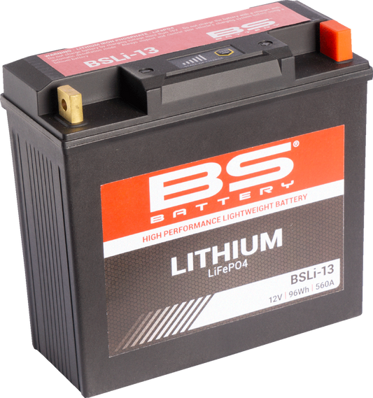 BS BATTERY Lithium Battery BSLi-13 360113 – 12.8V 5Ah Rechargeable Power Source with Fast Charging and Extended Cycle Life