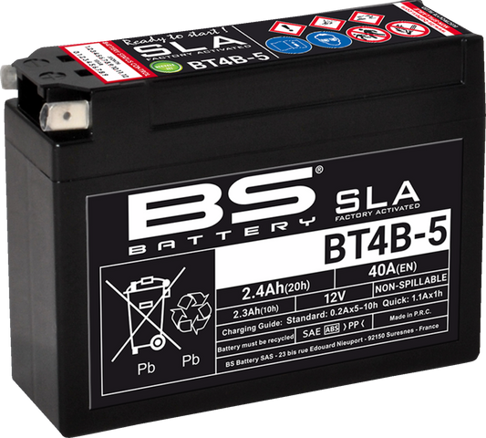 BS Battery BT4B-5 (YT) 300756 Absorbed Glass Mat (AGM) Maintenance-Free Deep Cycle Battery