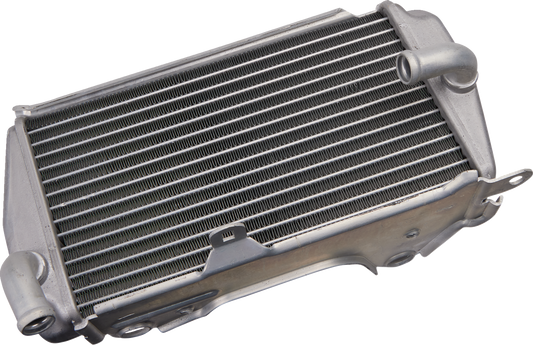 Moose Offroad OEM Replacement Radiator for Honda - Part 19010880