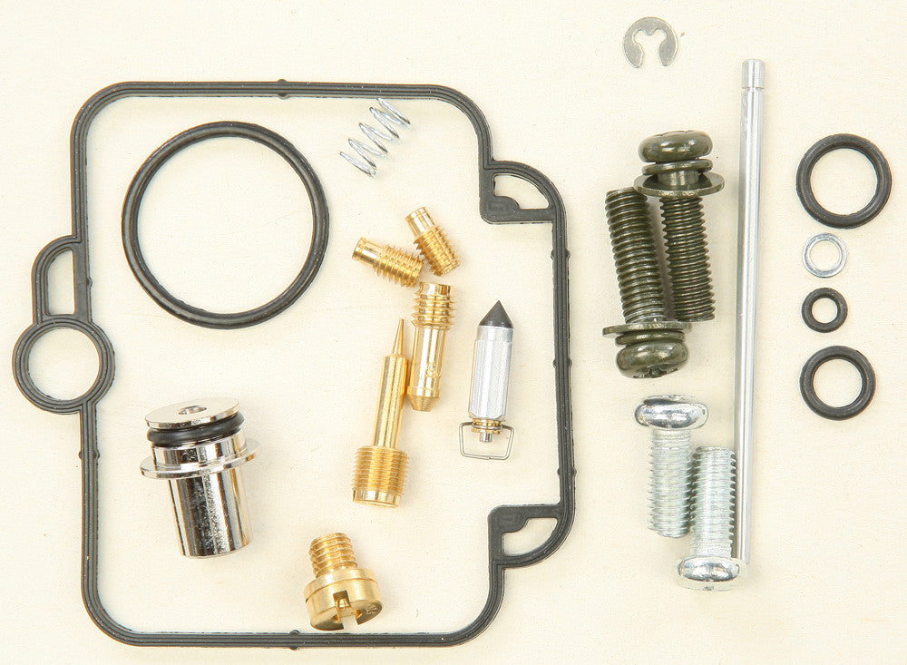 Carburetor Repair Kit