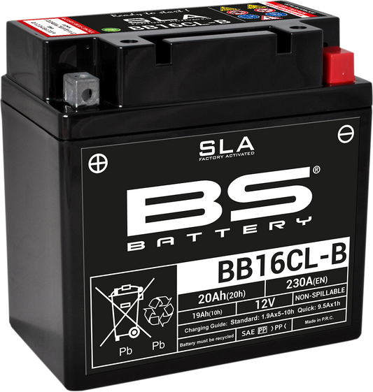BS BATTERY BB16CL-B (YB) 300771 AGM Deep Cycle Battery for Marine and RV Applications