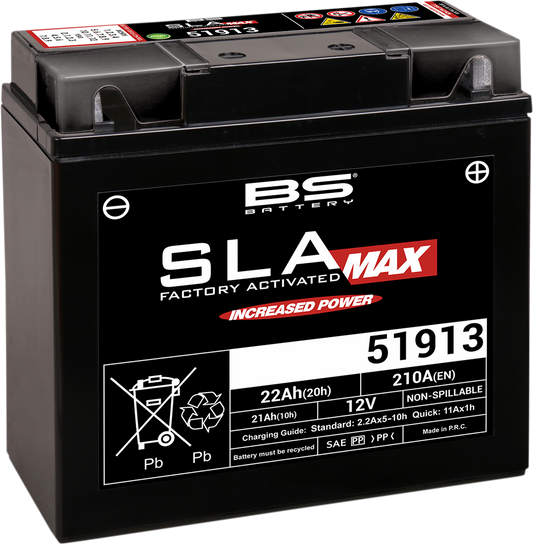BS Battery 51913 (Part Number 300860) Maintenance-Free Sealed Lead Acid Battery