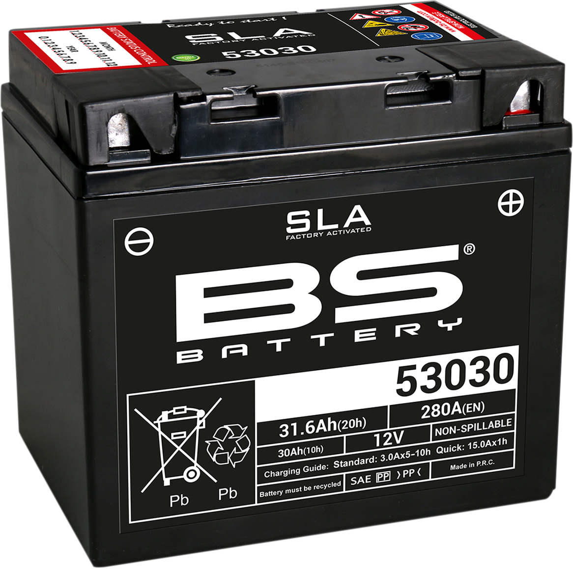 BS BATTERY 53030 300880 AGM Sealed Lead Acid Battery with Multi-Position Mounting