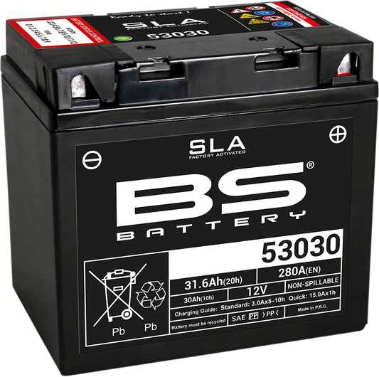 BS BATTERY 53030 300880 AGM Sealed Lead Acid Battery with Multi-Position Mounting