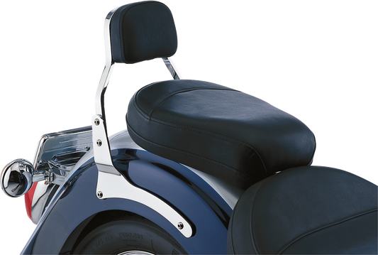 Metric Mini Sissy Bar