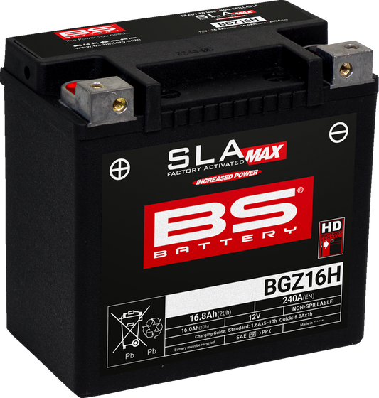 BS BATTERY BGZ16H (GYZ) 300931 Maintenance-Free Deep Cycle Marine Battery