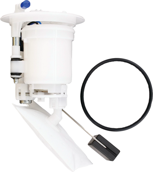 Fuel Pump Assembly