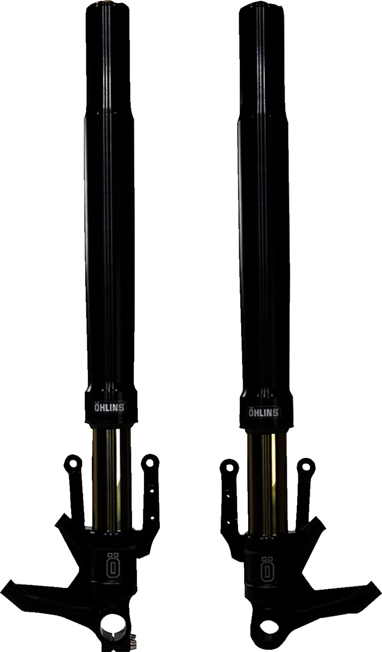 OHLINS Blackline Front Fork FGRT 307 - Precision Damping with Titanium Nitrate Coating