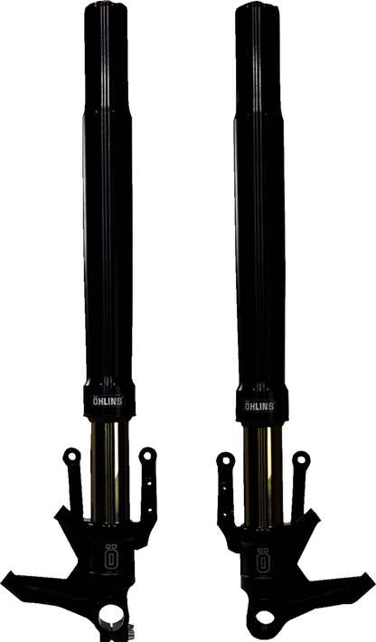 OHLINS Blackline Front Fork FGRT 307 - Precision Damping with Titanium Nitrate Coating