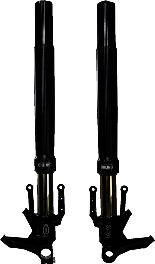 OHLINS Blackline Front Fork FGRT 307 - Precision Damping with Titanium Nitrate Coating