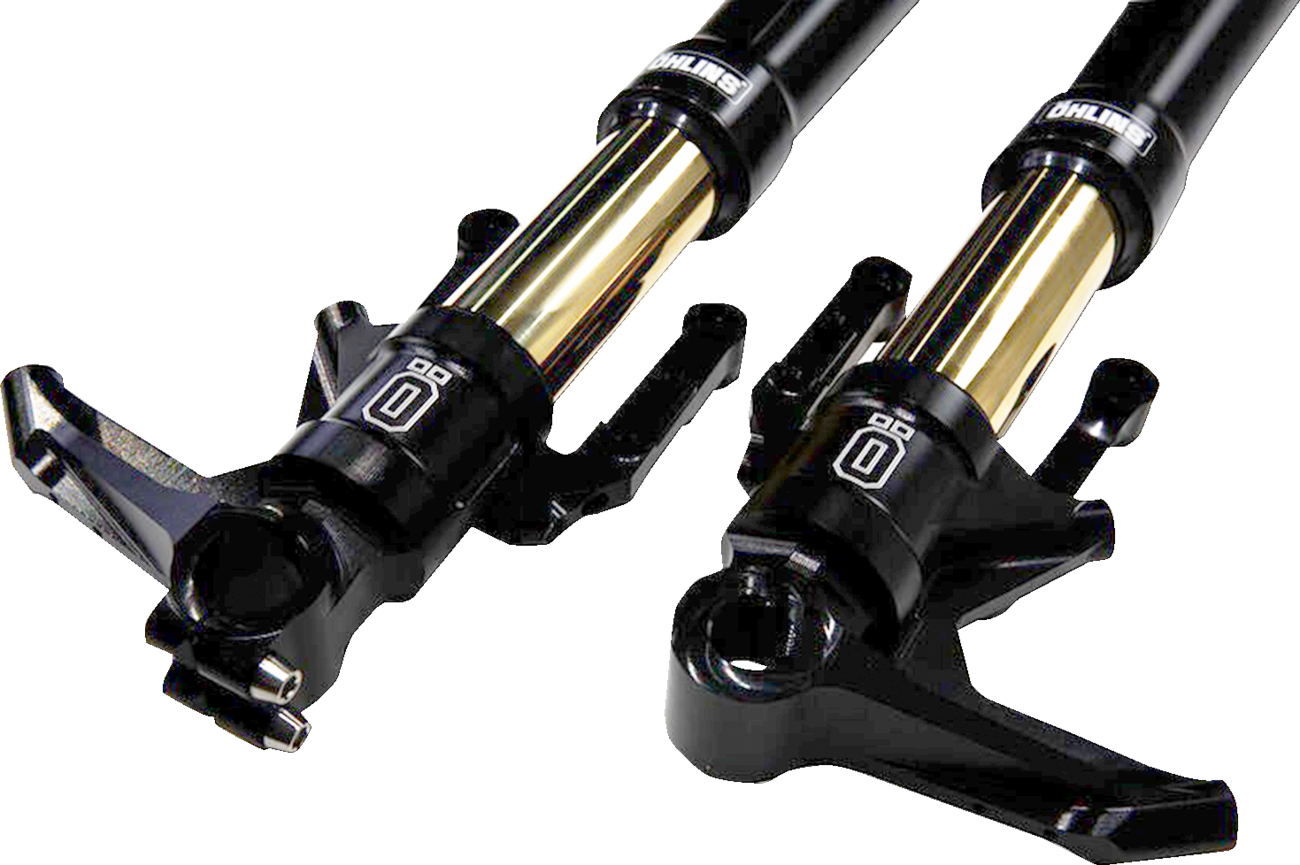 OHLINS Blackline Front Fork FGRT 307 - Precision Damping with Titanium Nitrate Coating