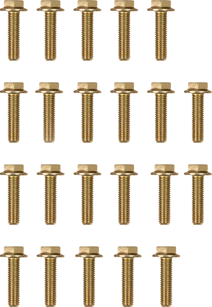 Moose Offroad Beadlock Bolts for 544X Beadlock Ring, Pack of 8 - RBYZ-8X30-109-PK