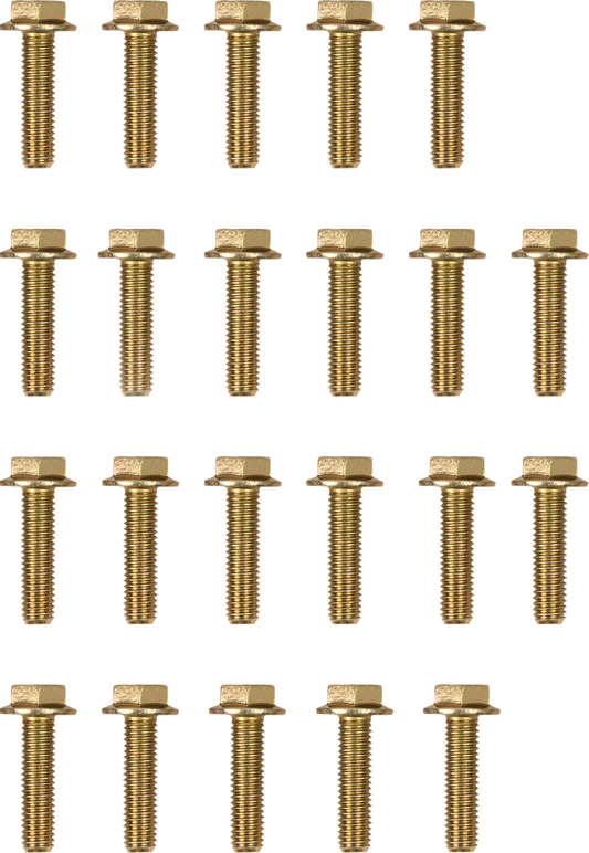 Moose Offroad Beadlock Bolts for 544X Beadlock Ring, Pack of 8 - RBYZ-8X30-109-PK