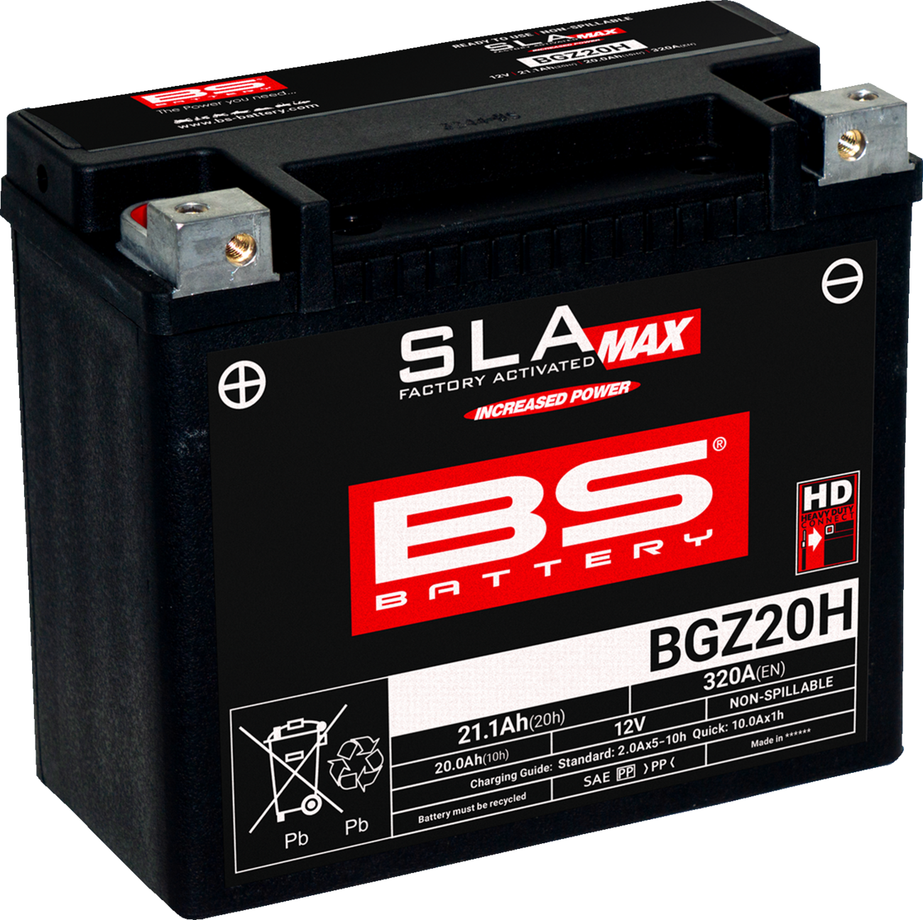 BS BATTERY BGZ20H (GYZ) 300938 Maintenance-Free Deep Cycle Marine Battery