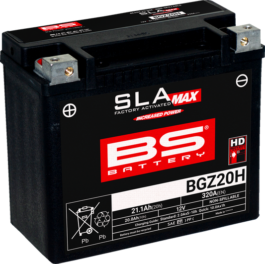 BS BATTERY BGZ20H (GYZ) 300938 Maintenance-Free Deep Cycle Marine Battery