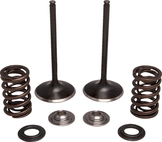 Moose Offroad M30-34360 Exhaust Valve and Spring Kit for Honda - Enhanced Performance and Durability
