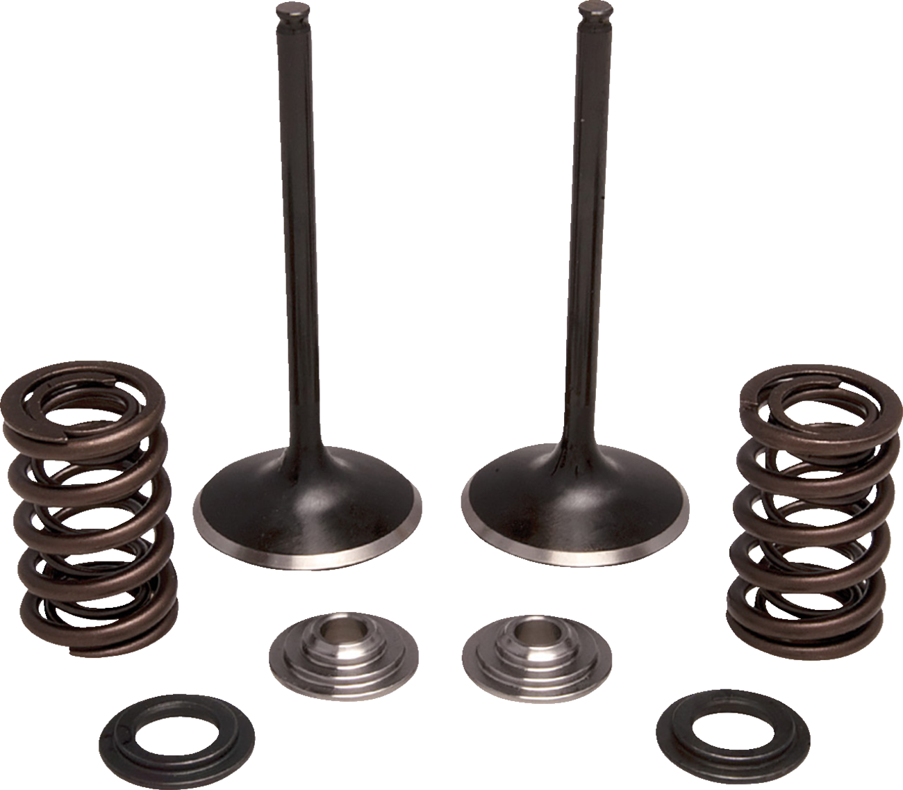 MOOSE OFFROAD Valve and Spring Kit for Honda Intake - Part M30-34350