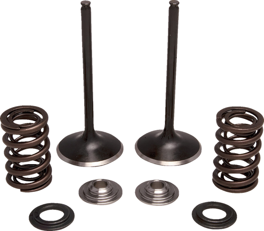 MOOSE OFFROAD Valve and Spring Kit for Honda Intake - Part M30-34350