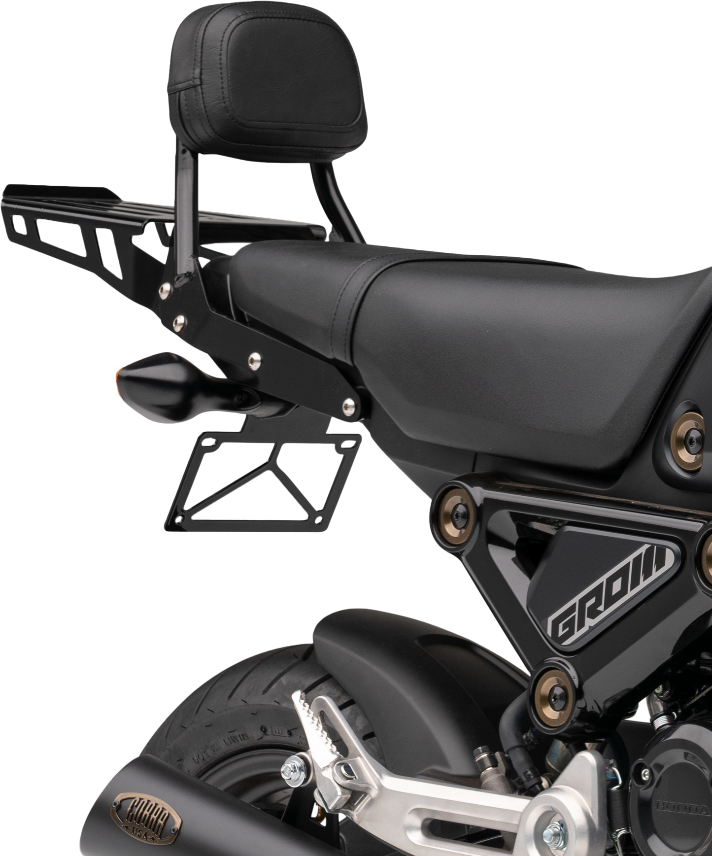 Metric Mini Sissy Bar