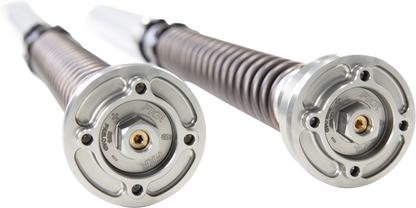 OHLINS FKR 202 Fork Cartridge Kit - Motorcycle Suspension Upgrade