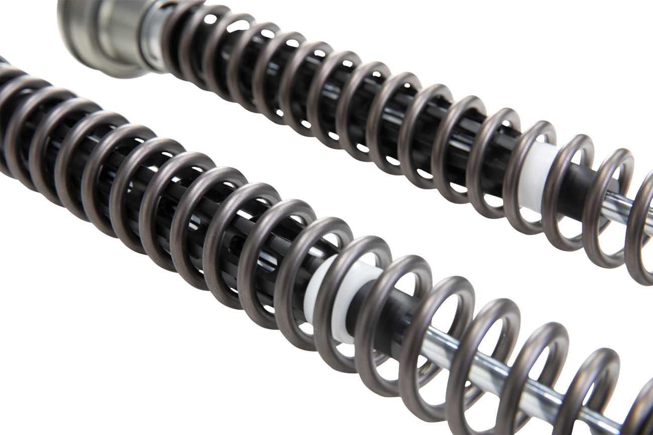 OHLINS FKR 219 Fork Cartridge Kit – MotoGP-Inspired Design for Enhanced Performance