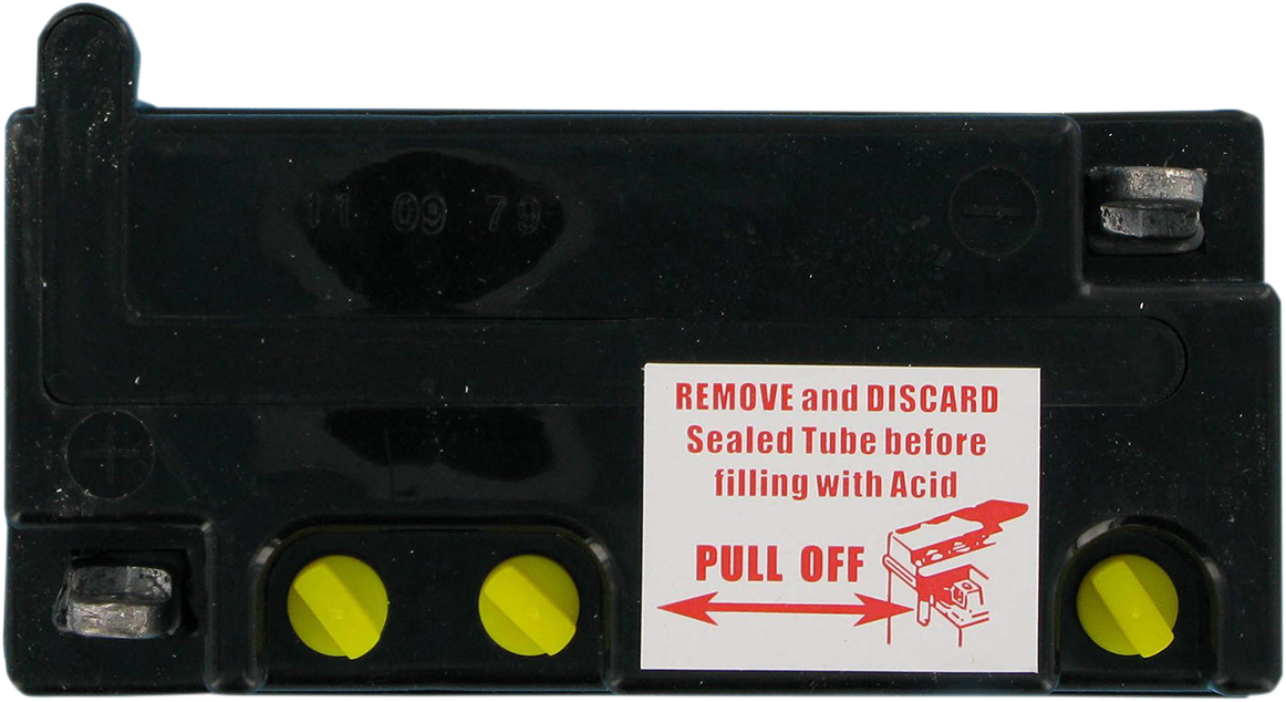 PARTS UNLIMITED Conventional Battery 6CB112D