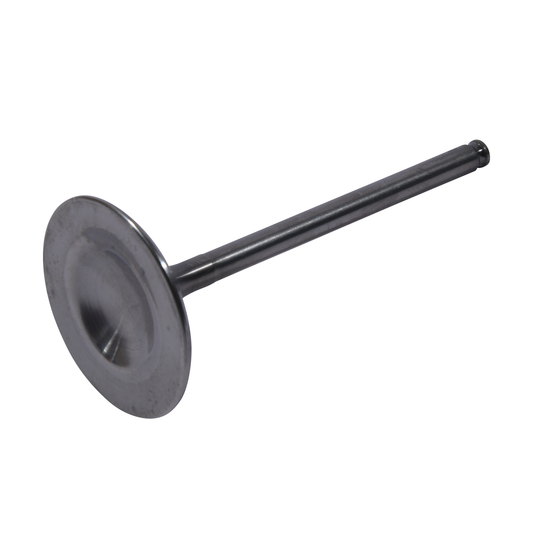 Intake Valve
