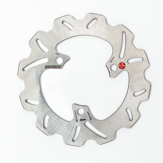 Braking Rear Brake Rotor