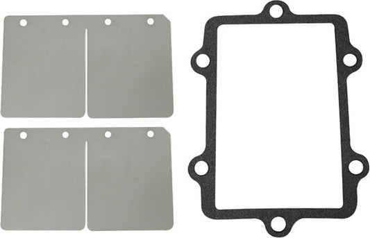 Reed Valve Rebuild Kit