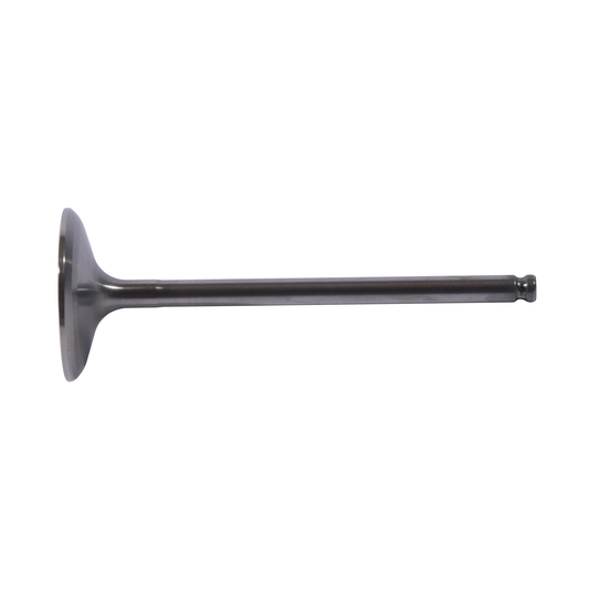 Intake Valve