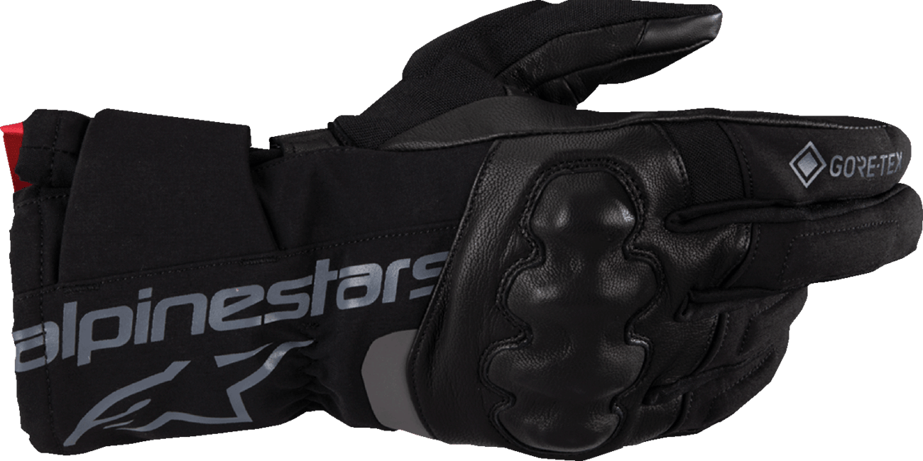 Alpinestars WT-4 Gore-Tex® Gloves - Black, Small (Part 3520425-10-S) - Kelly Motorsports
