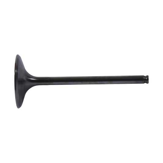 Intake Valve