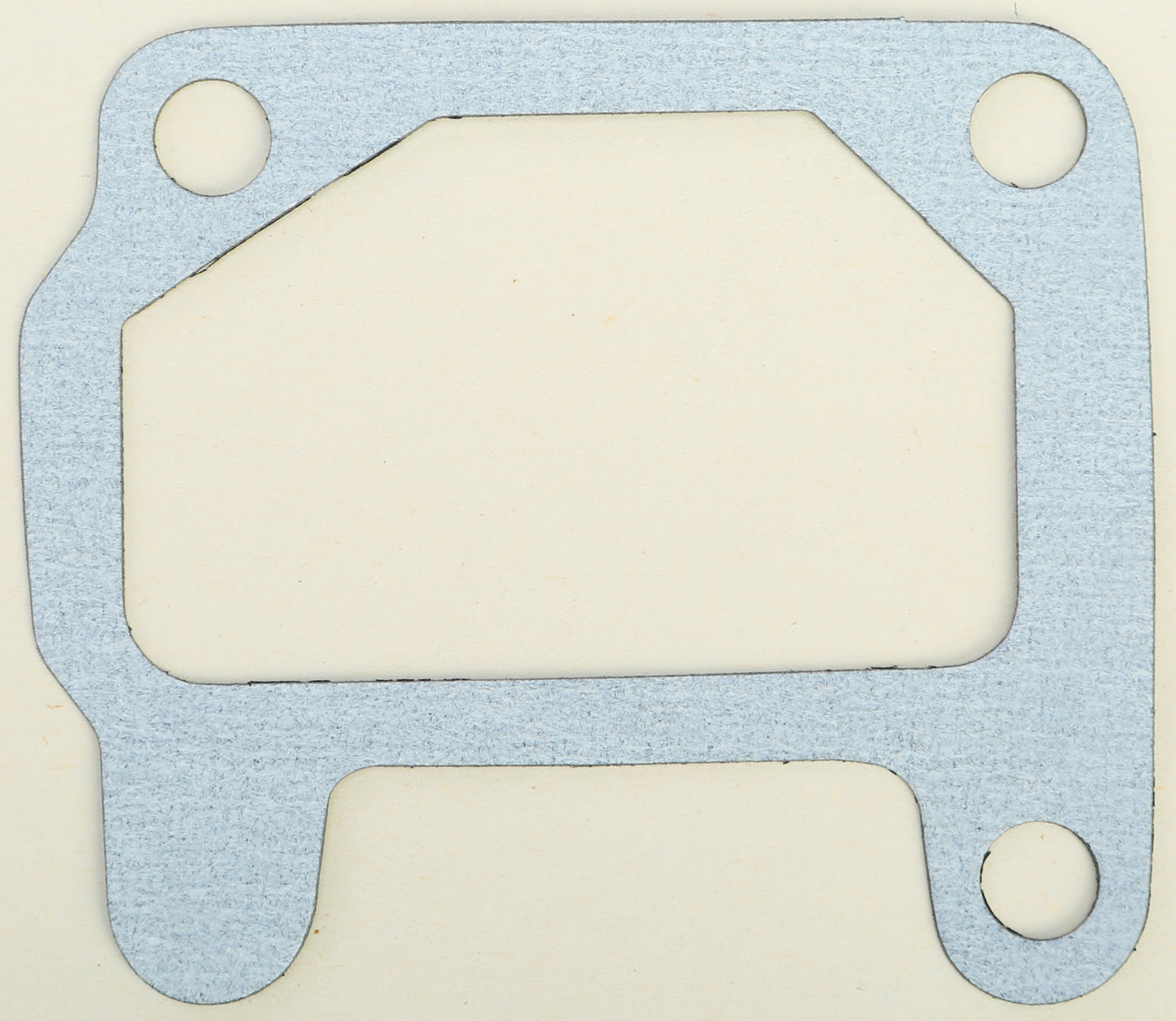 Intake/Reed Valve Gasket