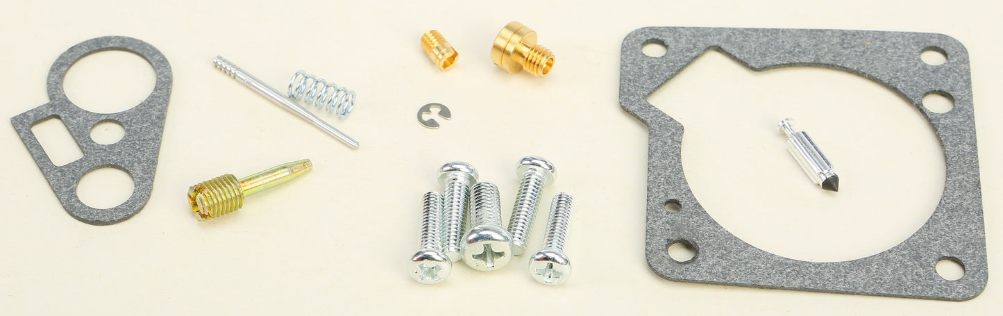 Carburetor Repair Kit