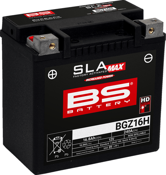 BS BATTERY BGZ16H (GYZ) 300931 Maintenance-Free Deep Cycle Marine Battery - Kelly Motorsports
